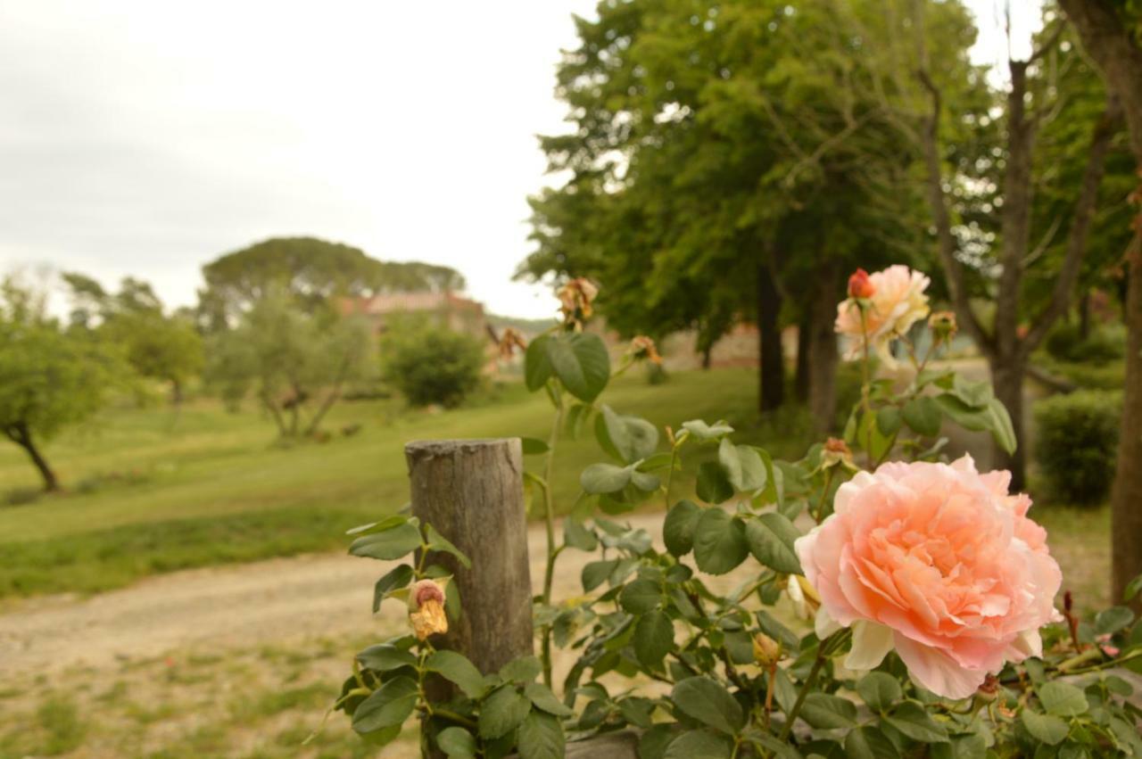 Agriturismo Riparossa Allerona Exterior photo